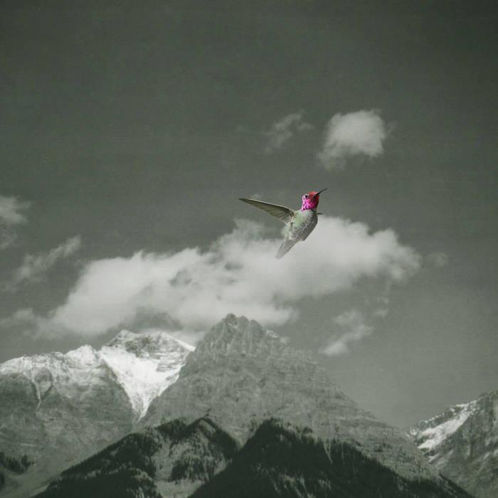 BARDO POND - MELT AWAY